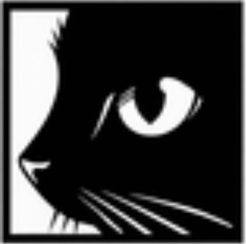 santowear playeras érsonalizadas